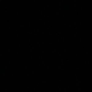 Meet your Posher, Anastacia